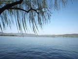 IMG20250325093751