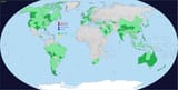Real Traveler&#039;s map ver 4.0.4