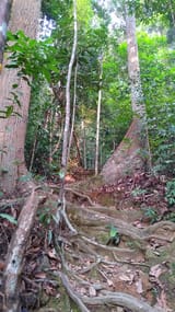 IMG_20250603_182020773