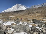 IMG_4448