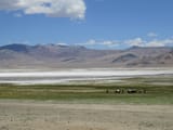 IMG_5546
