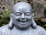 laughingfatbud