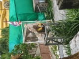 IMG_20230719_121521