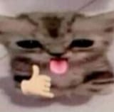 Thread 2793933 OP Image
