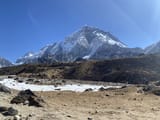 IMG_4462