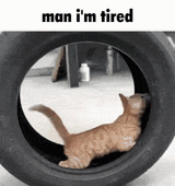 man-i&#039;m-tired-tired