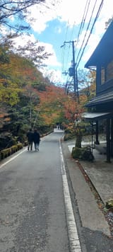 Kifune2024