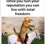 1666623862992002