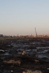 DSC05444
