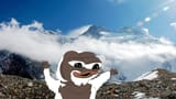 yeti