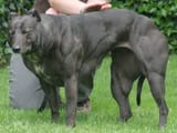 images - 2020-09-04T152650.529
