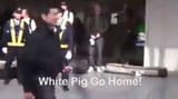 white pig go home