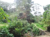 IMG_20231129_140854
