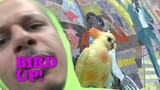 MV5BMTdlYjcxOTktNzBlMy00YTdjLTk1OGYtYWVkYTA5Y2NhMjJkXkEyXkFqcGc@._V1_
