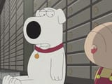 family guy brian gun