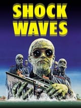 Shock Waves_