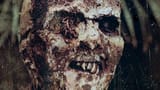 decay