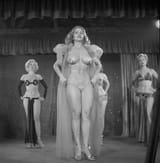 Tempest Storm