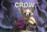 crooow