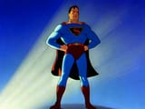 Fleischer