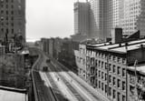 SHORPY-119724pu