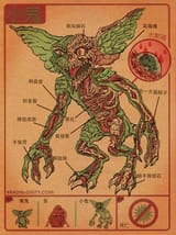 Gremlin_anatomy