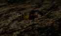 The Lovers on the Bridge - 02_thumb.jpg