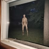 1749075181265797