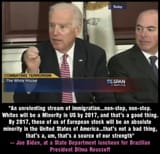 biden immigration white minority