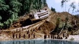 fitzcarraldo