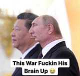 brain