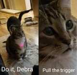 Debra