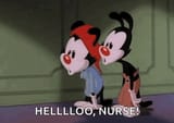 animaniacs-yakko-and-wakko