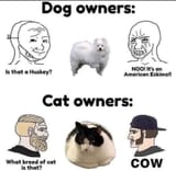 1749775599281