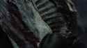 tcm biel (7)_thumb.jpg