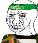 1734602124006240