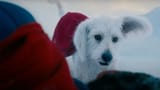 krypto-superman