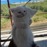 hugs