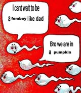lol