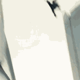 landing-antony-starr