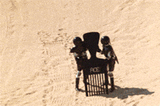 combing_the_desert