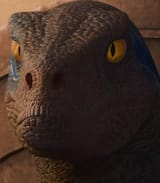 xahaenjae