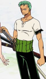 Roronoa_Zoro_Anime_Pre_Timeskip_Infobox