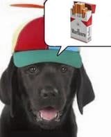 Kuva