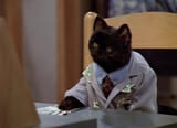sabrina.s2e1-jfkxvid.avi-00001