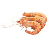 langostino-mediterraneo