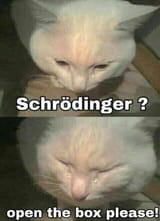 602471586
