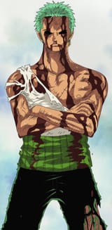 Zoro_After_Taking_Luffy&#039;s_Pain