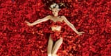 american-beauty-original-496795_0x745