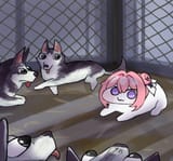 1000004396